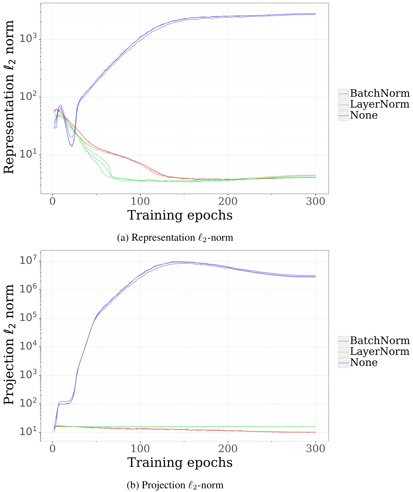 Two line graphs showing the evolution of l2 norms for representations and projections over 300 training epochs, comparing BatchNorm, LayerNorm, and no normalization.