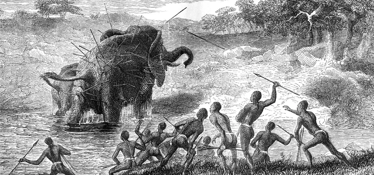 A group of dark skinned men throw spears at an elephant, who already has many spears poking out of its backside.