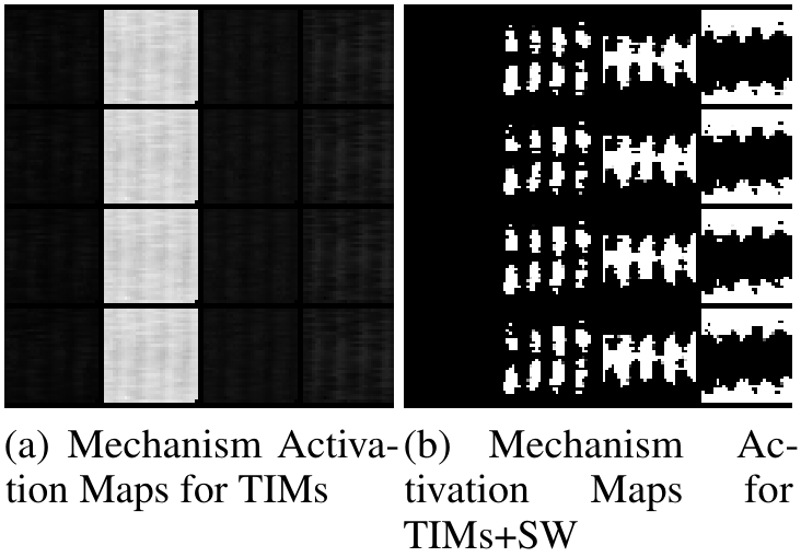 Two sets of black and white grids showing mechanism activation maps for TIMs and TIMs+SW