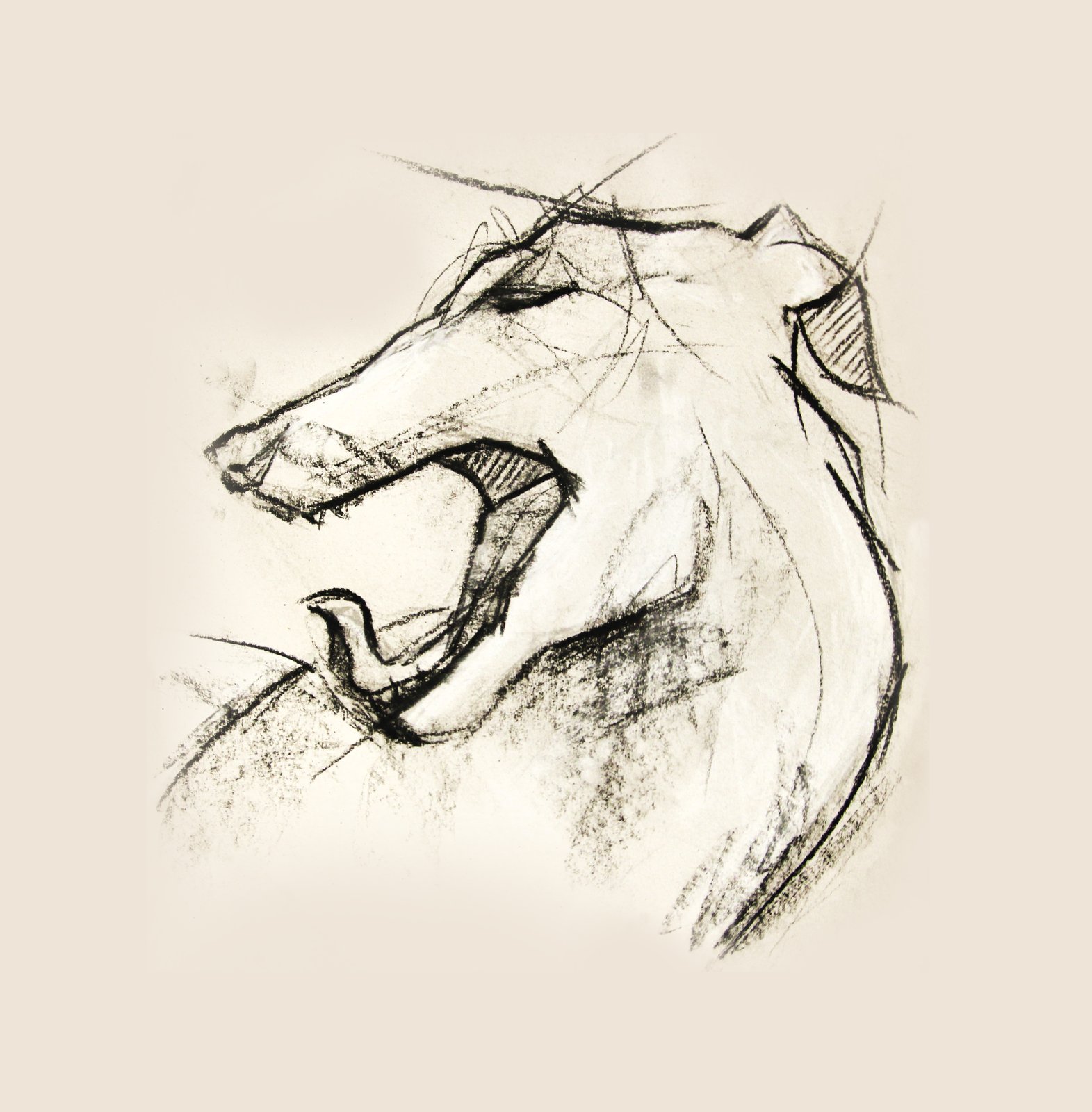 Early work 4