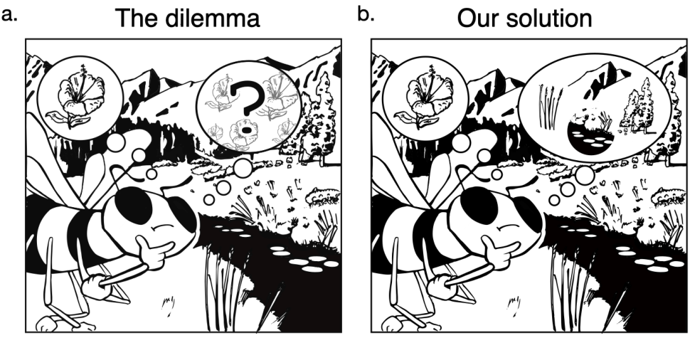 Two panel illustration of a bee faced with the dilemma of choosing between a familiar flower and unknown ones.