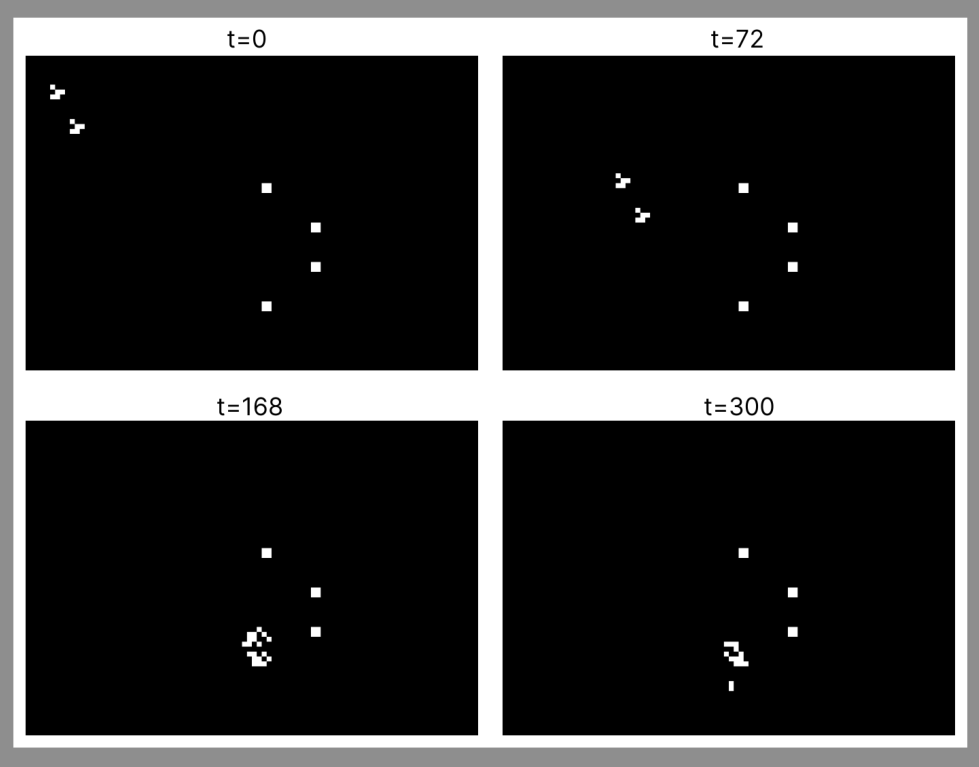 Four black and white grid snapshots at times t=0, t=72, t=168, and t=300 showing cellular automata evolution.