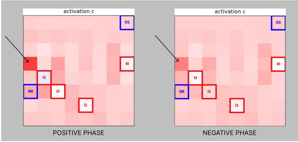 Two lattice activation diagrams labeled POSITIVE PHASE and NEGATIVE PHASE, with an arrow pointing to a specific cell.