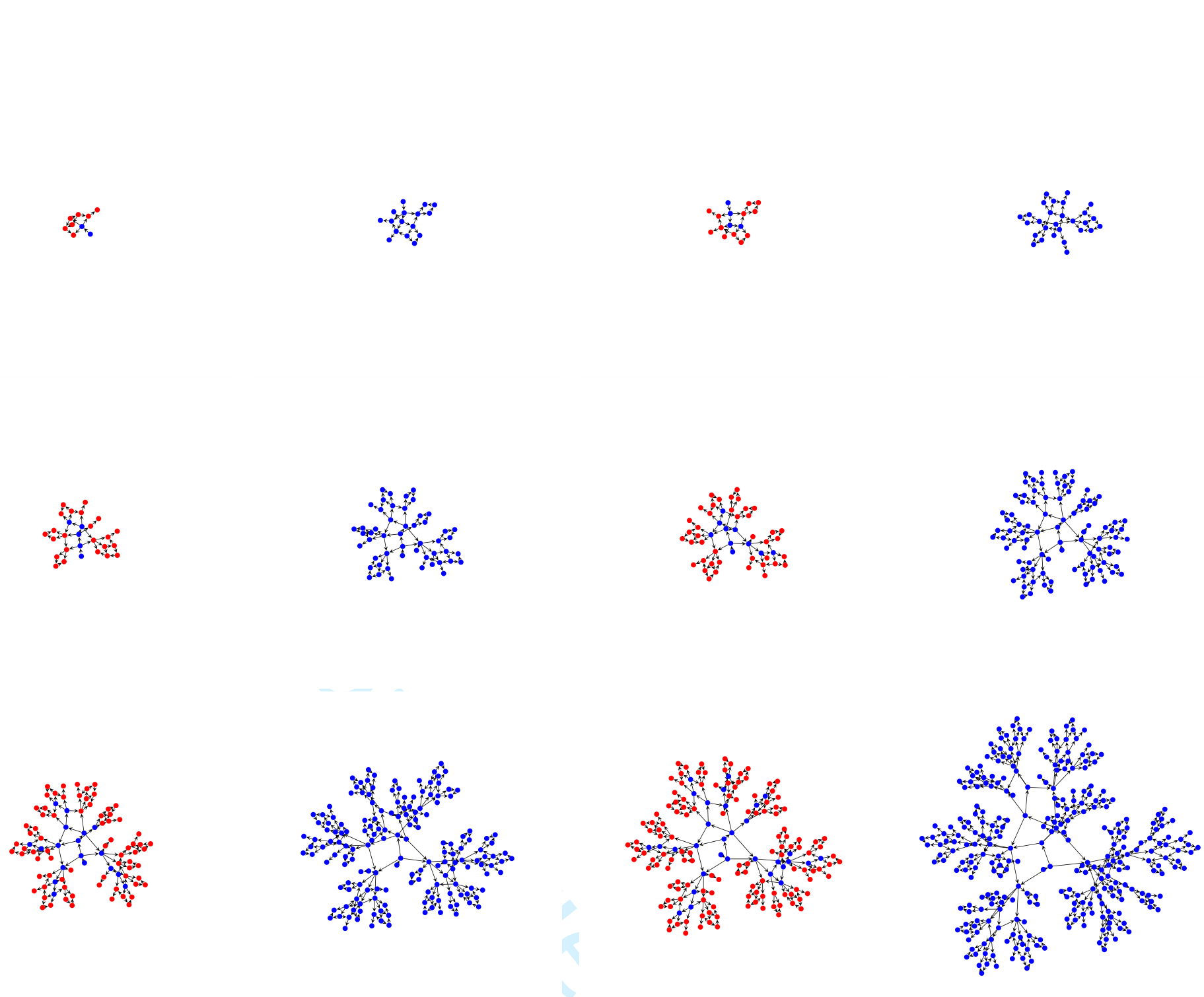 A sequence of twelve graphs showing non-monotonic growth over steps 8 to 19, where nodes are colored red or blue and new nodes appear intermittently.