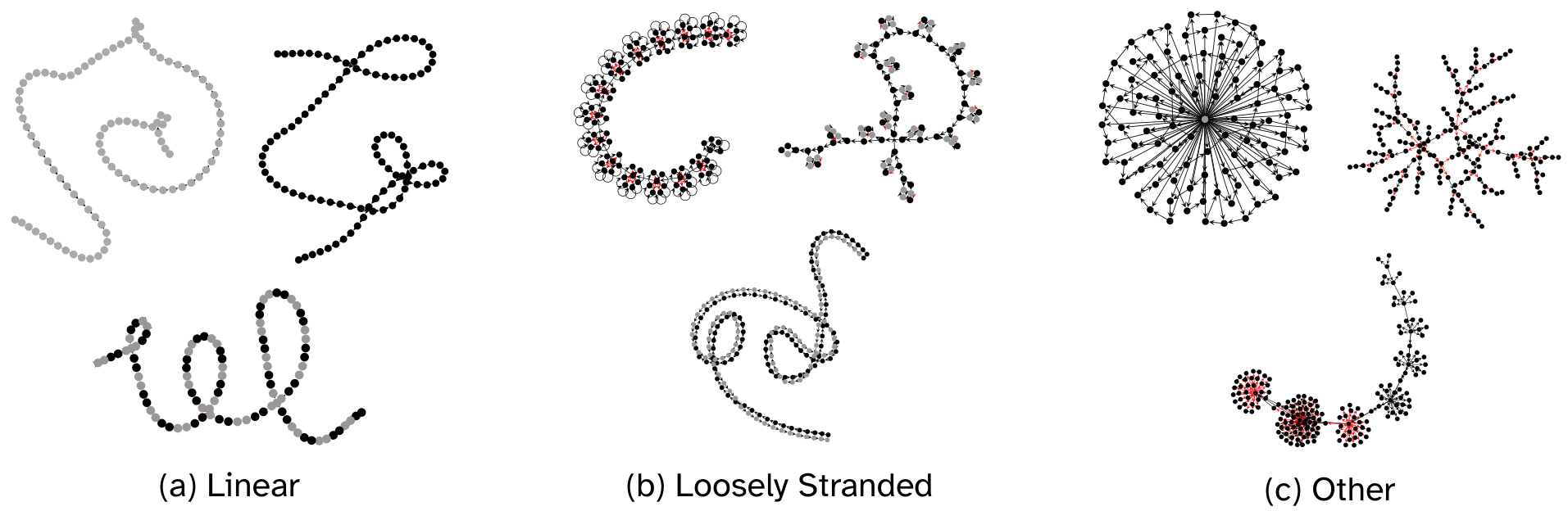Visual representation of various neural network topologies classified into three groups: (a) Linear, showing simple chain-like structures; (b) Loosely Stranded, showing chains with some branching or loops; and (c) Other, showing dense hub-and-spoke or complex branching patterns.