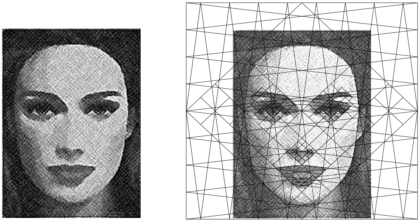 A drawing of a female face on the left, and on the right, the same face overlaid with a complex geometric grid of intersecting lines showing its construction.