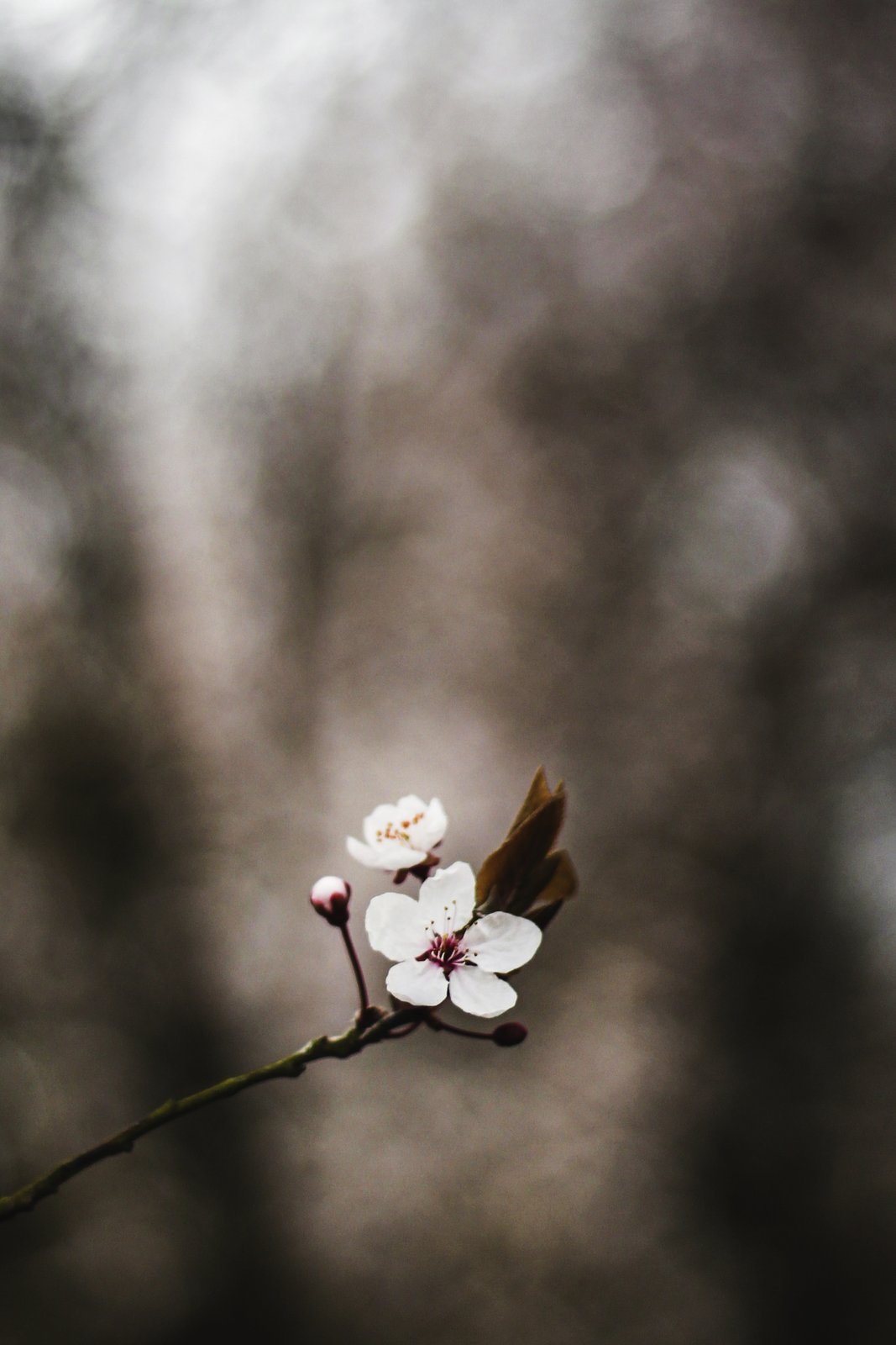 Small things 1