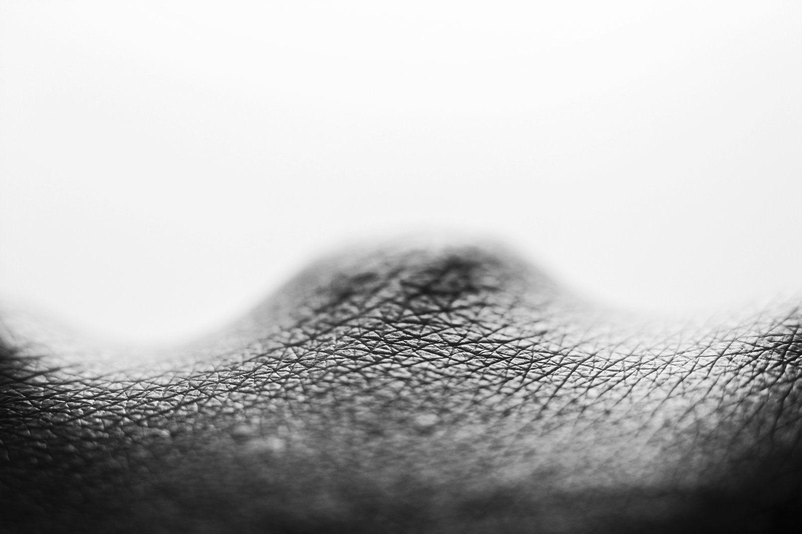 From Fluid and Bone, a solo exhibition at the Edwardian Cloakroom, Bristol, 2016.