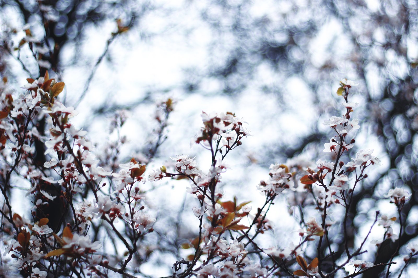 Small things 2