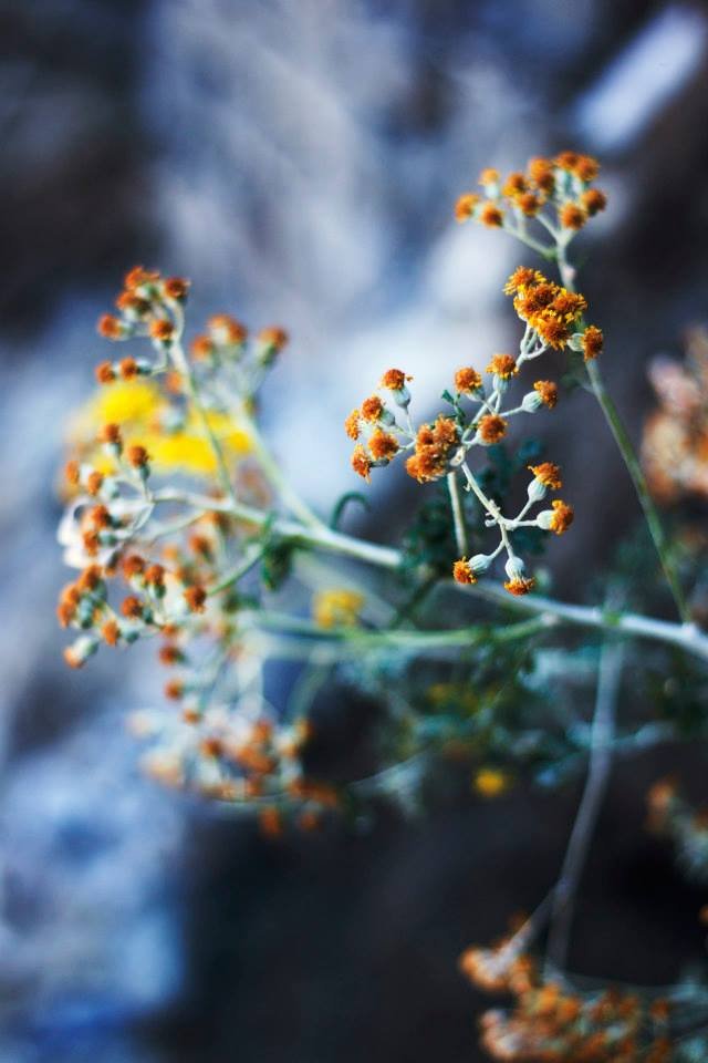 Small things 3