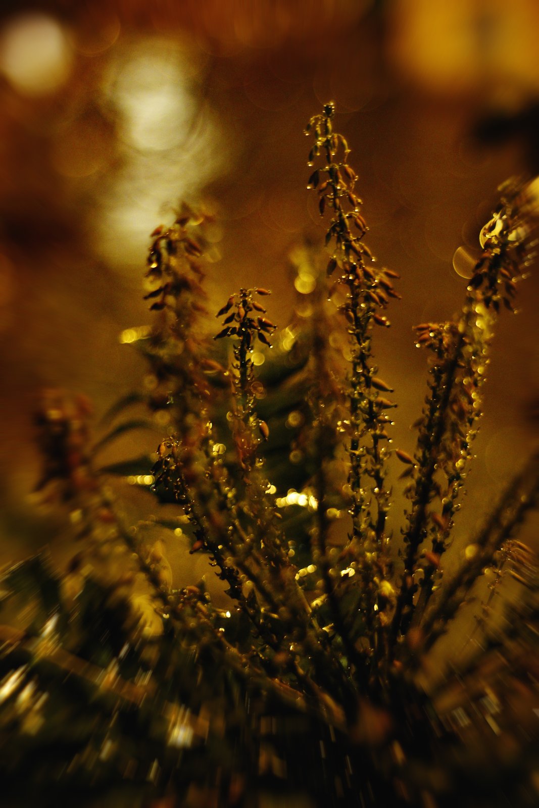 Small things 7