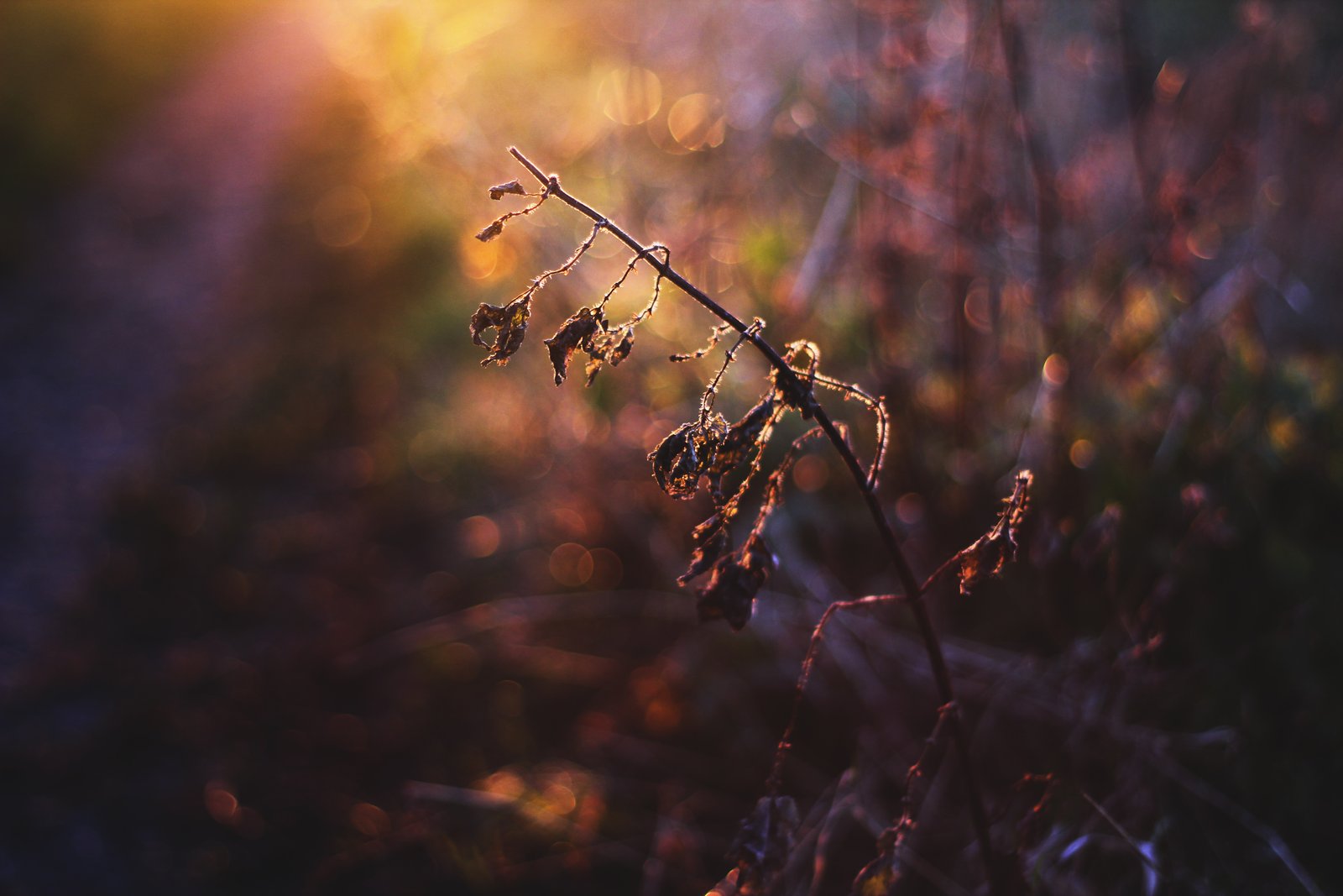 Small things 8