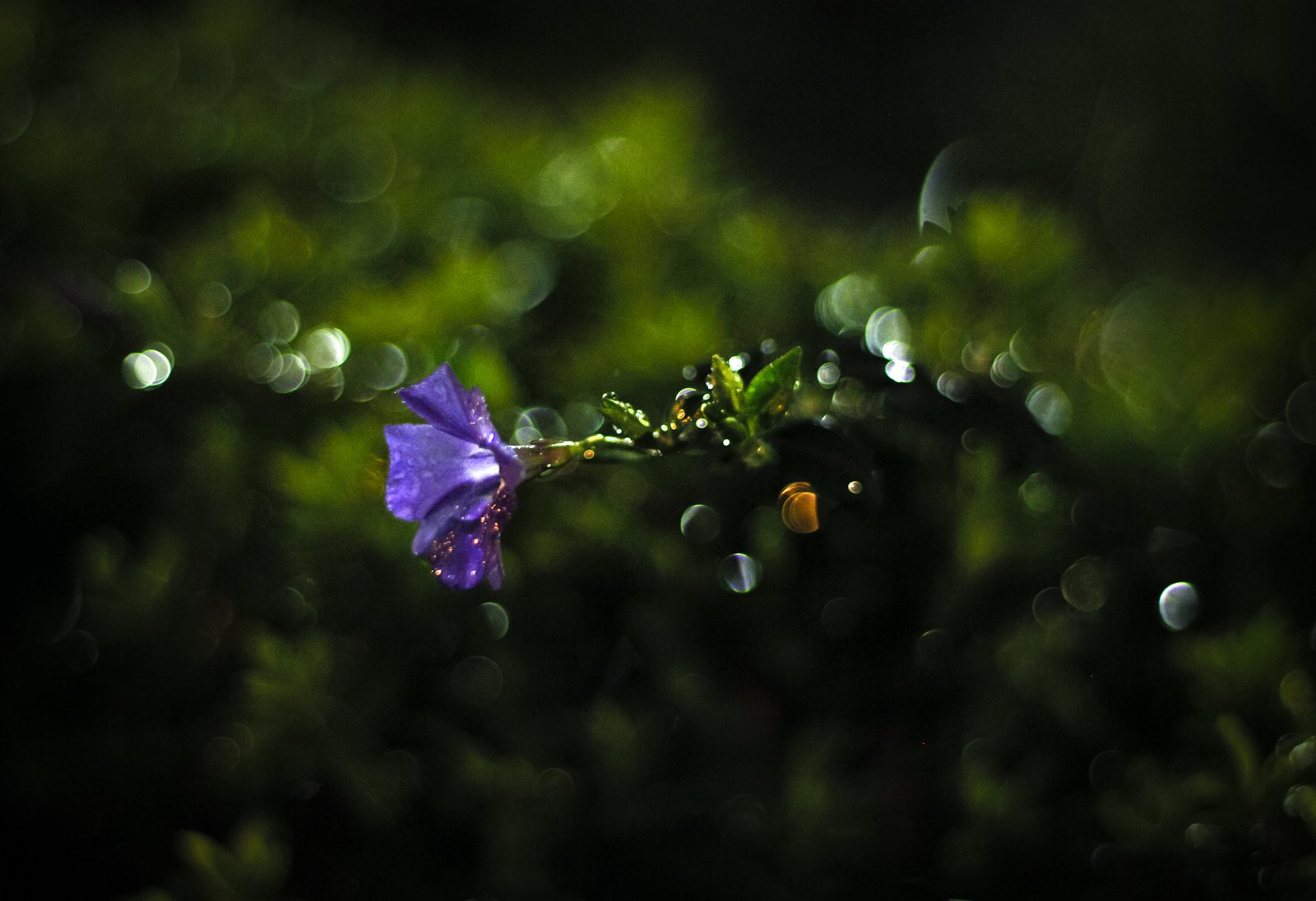 Small things 9