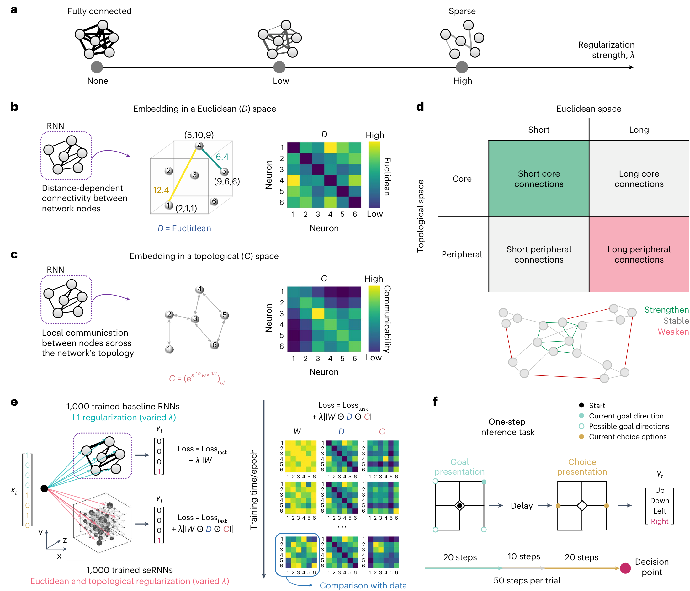 A diagram showing the conceptual framework of seRNNs, including regularization levels, embedding in Euclidean and topological spaces, structural connectivity classification, training process comparison between baseline and seRNNs, and a one-step inference task schematic.