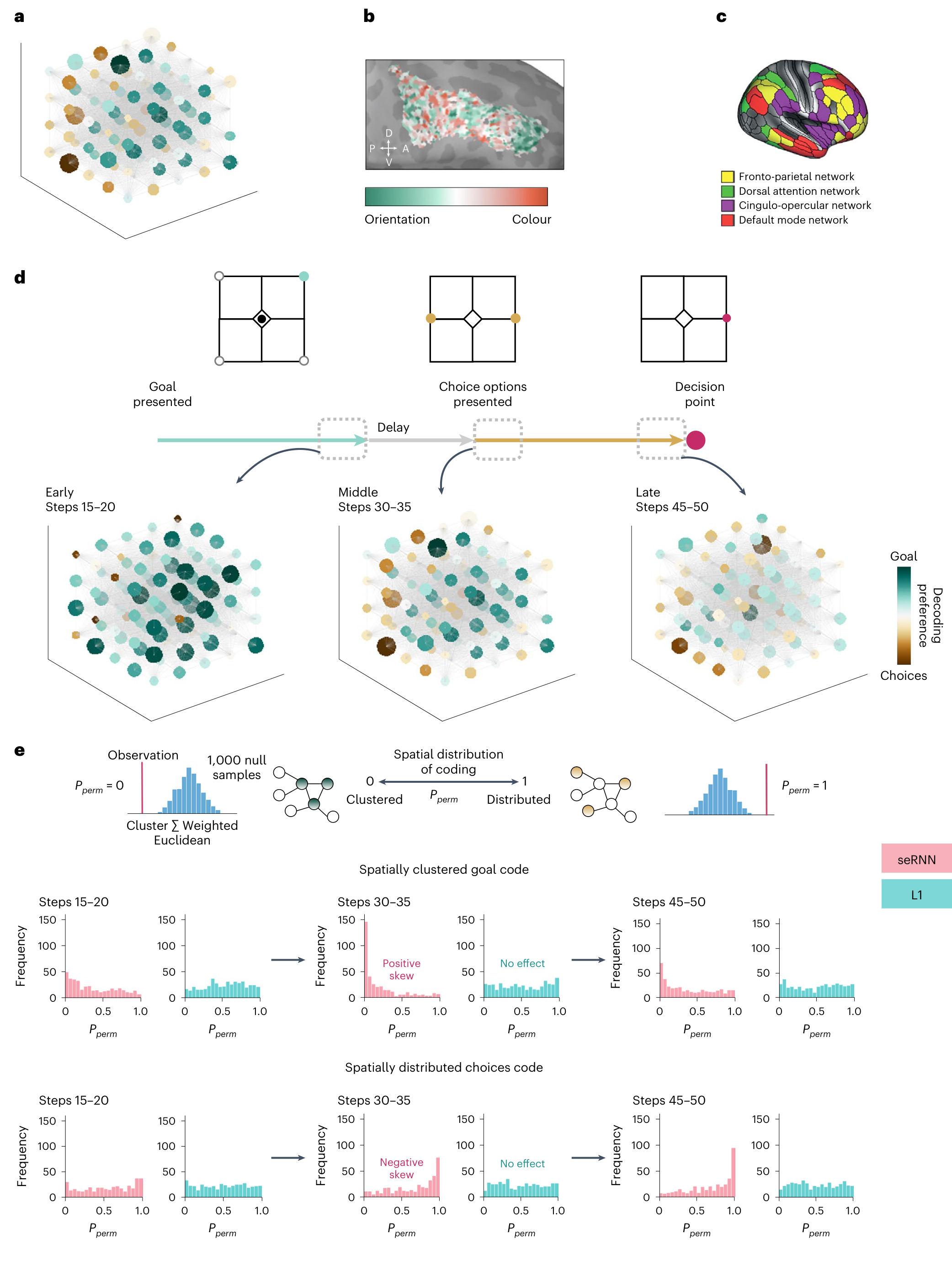Five panels labeled a through e illustrating neural network spatial organization, goal and choice decoding over time, and statistical distributions of spatial coding for seRNN and L1 models.