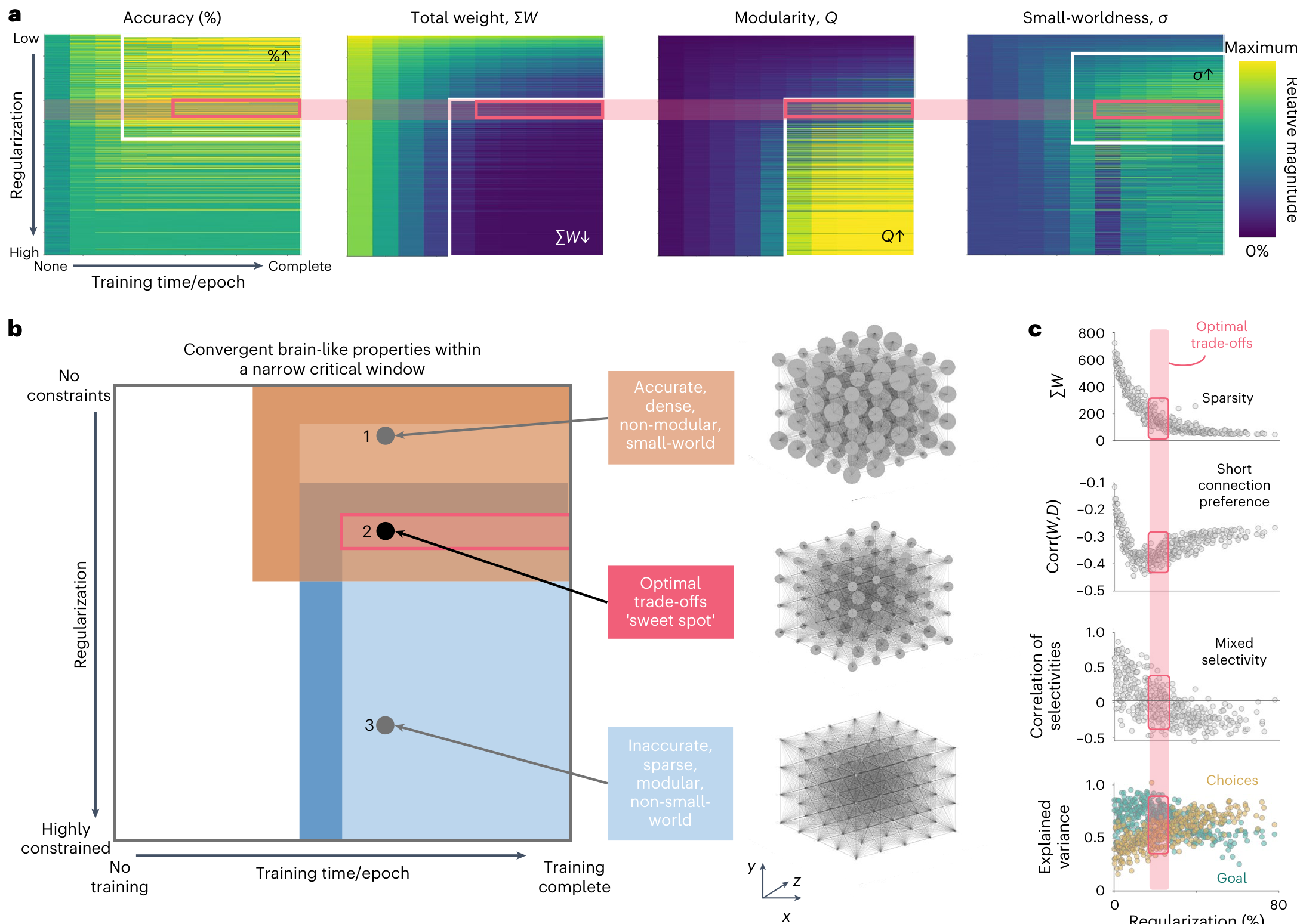 A multi-panel figure showing heatmaps of accuracy, weight, modularity, and small-worldness (a), a schematic of the parameter space (b), and scatter plots of network properties versus regularization (c).
