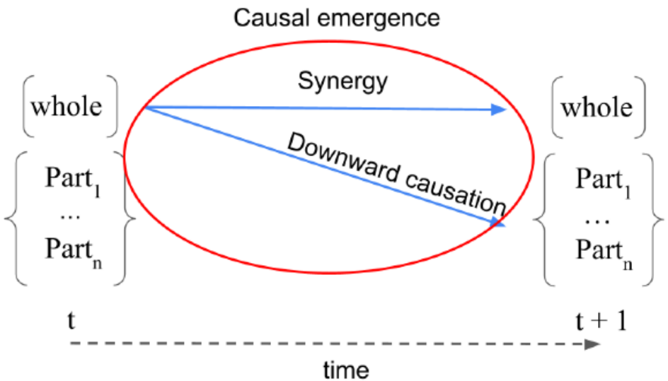 Diagram showing causal emergence between a system at time t and t plus 1, illustrating synergy and downward causation.
