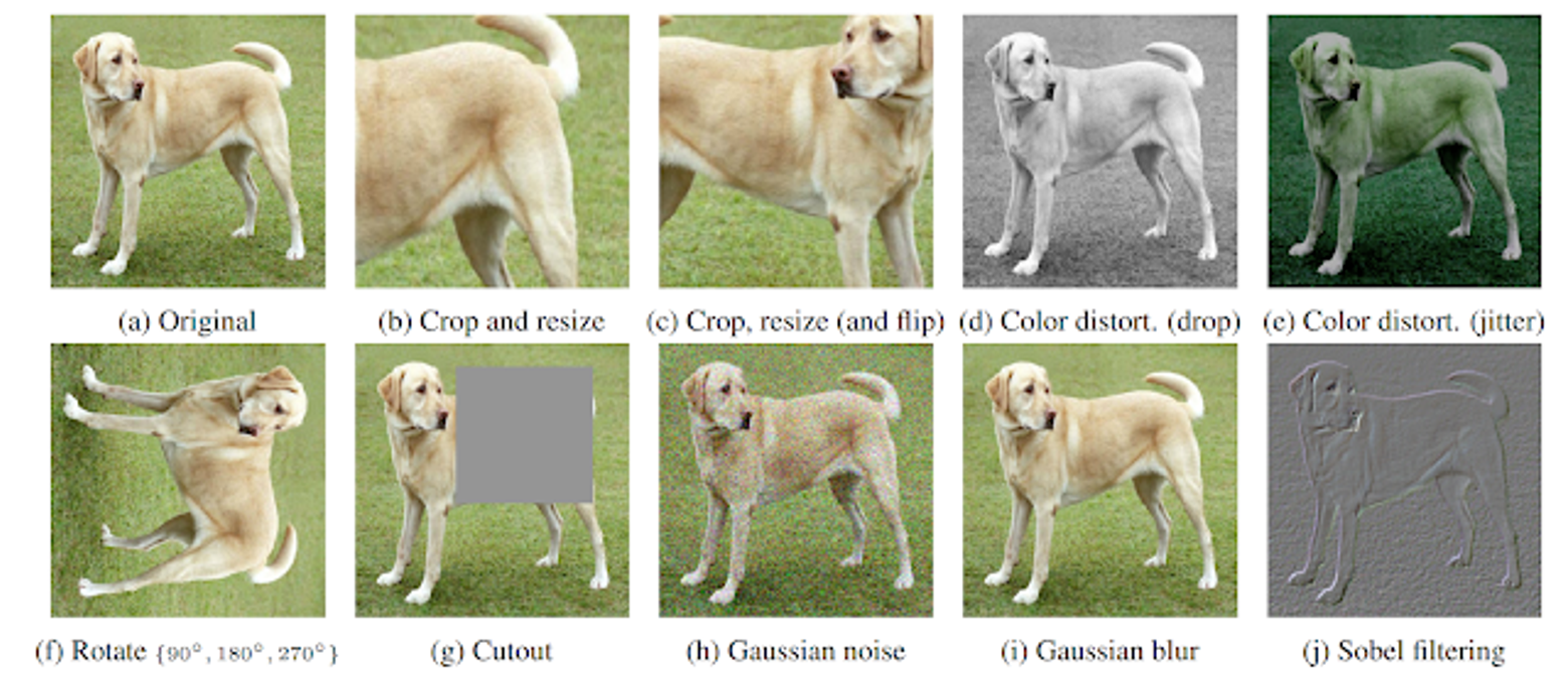 Augmented versions of the original picture of a dog (a). Any two of these could be used as a positive example pair. Image from the SimCLR post.