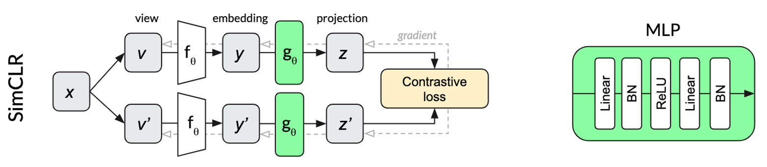 SimCLR architecture.
