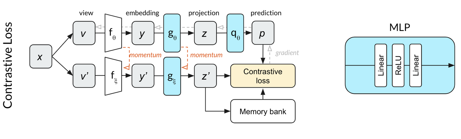 Configuration used for experiments with contrastive loss, enabling better comparison to BYOL results.