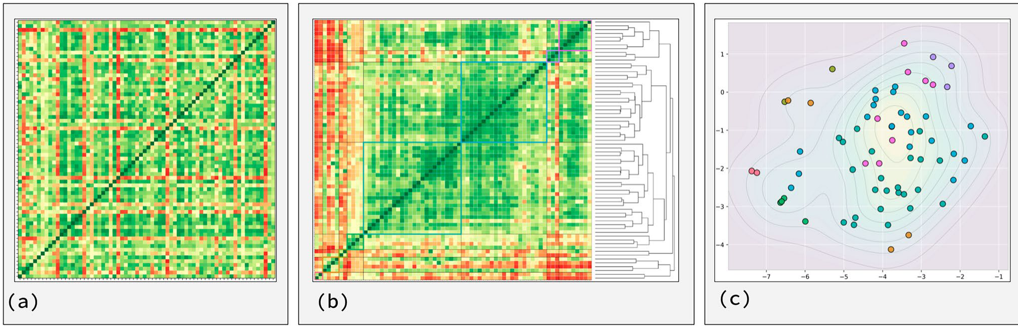 Three panels showing the transformation of data from a raw correlation heatmap (a), to a clustered heatmap with a dendrogram (b), to a 2-D t-SNE scatter plot with density contours (c).