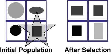 A328923_1_En_3_Fig1_HTML.gif